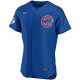 Chicago Cubs Nike Alternate Authentic Team Jersey - Royal