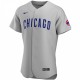 Chicago Cubs Nike Road Authentic Team Jersey - Gray