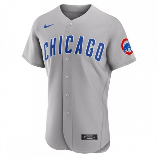 Chicago Cubs Nike 2023 Jackie Robinson Day Authentic Jersey - Gray