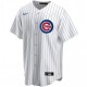 Men's Chicago Cubs Ryne Sandberg #23 Nike White Home Player Jersey