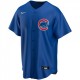 Men's Chicago Cubs Nike Royal Alternate Team Jersey