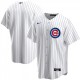 Men's Chicago Cubs Nike White&Royal Home 2020 Jersey