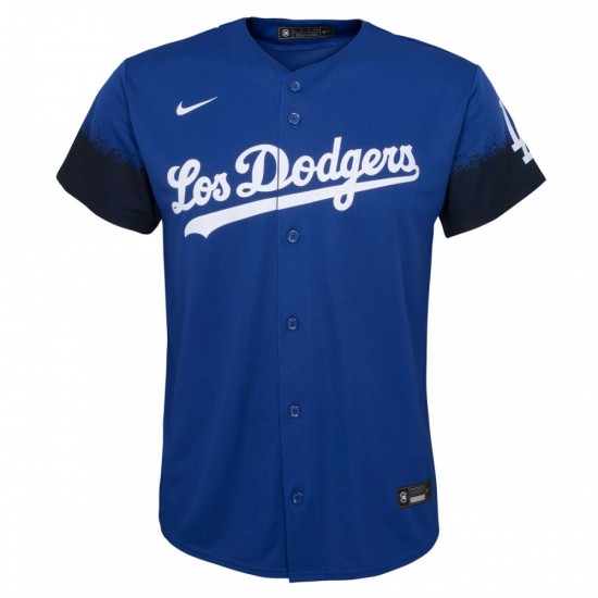 Freddie Freeman Los Angeles Dodgers Nike Youth City Connect Replica Player Jersey - Royal