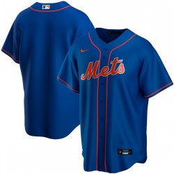 New York Mets Nike Youth Alternate Replica Team Jersey - Royal