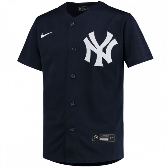 DJ LeMahieu New York Yankees Nike Youth Alternate Replica Player Jersey - Navy