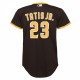 Fernando Tatis Jr. San Diego Padres Nike Youth Alternate Replica Player Jersey - Brown