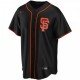 Men's San Francisco Giants Nike Black Alternate 2020 Jersey