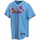 St. Louis Cardinals Nike Youth Alternate Replica Team Jersey - Light Blue