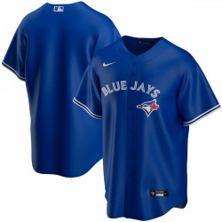 Toronto Blue Jays Nike Youth Alternate Replica Team Jersey - Royal