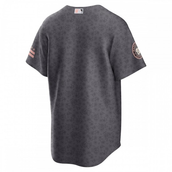 Washington Nationals Nike 2022 City Connect Replica Jersey - Gray