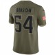 Tedy Bruschi New England Patriots 2022 Salute To Service Retired Player Limited Jersey - Olive