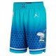 Men's Charlotte Hornets Nike Green 2021/22 Swingman Shorts - City Edition