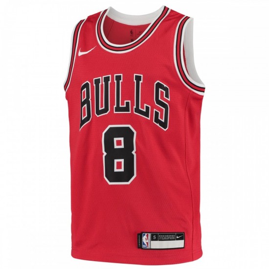 Zach LaVine Chicago Bulls Nike Youth 2020/21 Swingman Jersey - Icon Edition - Red