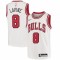 Zach LaVine Chicago Bulls Nike Youth 2020/21 Swingman Jersey - Association Edition - White