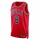 Zach LaVine Chicago Bulls Nike Unisex 2022/23 Swingman Jersey - Icon Edition - Red