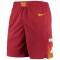 Men's Denver Nuggets Nike Red 2020/21 Swingman Shorts - City Edition