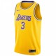 Anthony Davis Los Angeles Lakers Nike 2019/20 Swingman Jersey Gold - Icon Edition