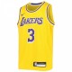 Anthony Davis Los Angeles Lakers Nike Youth Swingman Jersey - Icon Edition - Gold