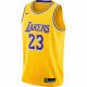 LeBron James Los Angeles Lakers Nike 2020/21 Swingman Jersey Gold - Icon Edition