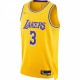 Anthony Davis Los Angeles Lakers Nike 2021/22 Diamond Swingman Jersey - Icon Edition - Gold