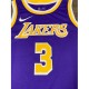 Men's Los Angeles Lakers Anthony Davis #3 Purple Swingman Jersey - Statement Edition