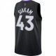 Pascal Siakam Toronto Raptors Nike 2020/21 Swingman Player Jersey Black/Purple - Earned Edition