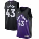 Pascal Siakam Toronto Raptors Nike 2020/21 Swingman Player Jersey Black/Purple - Earned Edition