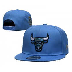 Chicago Bulls Blue Prime Edition Snapback Hat