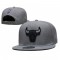 Chicago Bulls Gray Snapback Hat