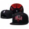 Chicago Bulls Wordmark Logo Black Snapback Hat